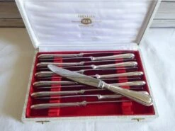 12 Couteaux à Entremets SFAM Métal Argenté 21 Cm Couverts