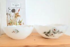 Lot De 2 Saladiers Arcopal Vintage Plats, Saladiers Et Coupelles -Cuisine Fournitures Soldes Boutique 1000x1000 1709816537e p3xr4 420720178