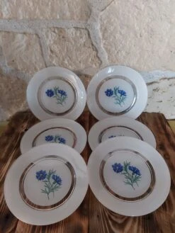 Service De 6 Assiettes à Dessert Duralex Motif Bleuets Assiettes