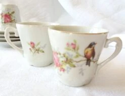 Tasses à Café En Porcelaine De Limoges - Début 20e Siècle - Décor Oiseau Thé, Café Ou Petit Cacao -Cuisine Fournitures Soldes Boutique 1000x1000 20230413 155537 edited iyl9r 978773703