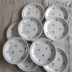 Lot De 10 Assiettes Fleuries ORCERAME Artois Moulin Des Loups Assiettes