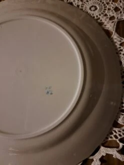 Duo D'assiettes Plates FB Fenal Badonviller Liseré Jaune Doré Assiettes -Cuisine Fournitures Soldes Boutique 1000x1000 20240130 100215 kgwzz 178065206