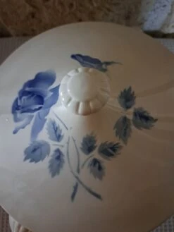 Soupière Vintage En Faïence De Digoin Sarreguemines Décor Roses Bleues 13 Plats, Saladiers Et Coupelles -Cuisine Fournitures Soldes Boutique 1000x1000 4b dlacy 975359658