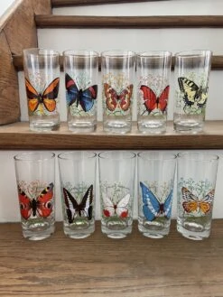 10 Grands Verre Papillons 🦋 REIMS Verres