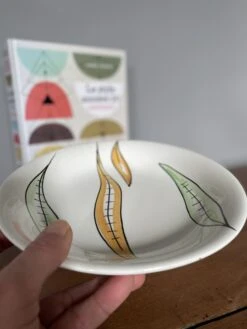 5 Assiettes Creuses Digoin Sarreguemines Assiettes