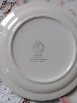 4 Assiettes à Dessert Décor Fleurs Minimalistes Roses, Moulin Des Loups Orchies, Vers 1980 Assiettes -Cuisine Fournitures Soldes Boutique 1000x1000 img 20231230 103402 85nj7 269280940