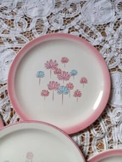 4 Assiettes à Dessert Décor Fleurs Minimalistes Roses, Moulin Des Loups Orchies, Vers 1980 Assiettes -Cuisine Fournitures Soldes Boutique 1000x1000 img 20231230 103853 8gxaz 178551155