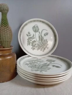 6 Assiettes Plates Décor Fleurs Et Végétaux, Naturel Et Minéral, Vintage Assiettes
