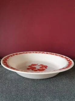 Plat Creux Lotus Plats, Saladiers Et Coupelles -Cuisine Fournitures Soldes Boutique 1000x1000 img 20240215 132935 y8711 324522654