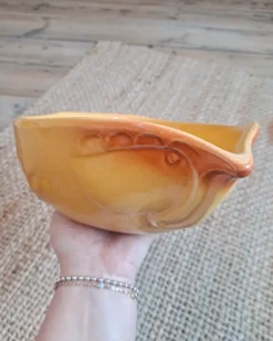 Saladier Original En Céramique En Forme De Poule Plats, Saladiers Et Coupelles -Cuisine Fournitures Soldes Boutique 1000x1000 img 20240315 015012 218 go3h2 710417145