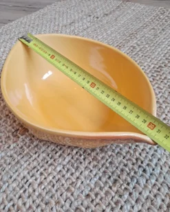 Saladier Original En Céramique En Forme De Poule Plats, Saladiers Et Coupelles -Cuisine Fournitures Soldes Boutique 1000x1000 img 20240315 015012 250 vj4ie 1925533247