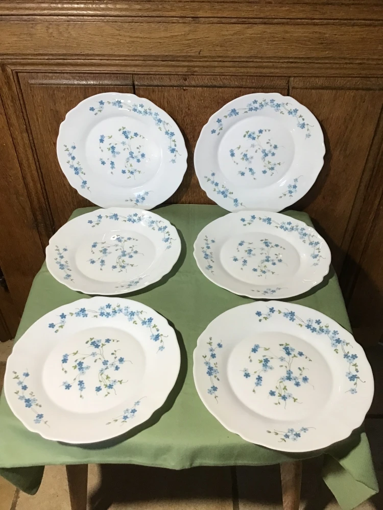 6 Assiettes Plate Arcopal Modèle Myosotis Véronica. Assiettes 1 6 Assiettes Plate Arcopal Modèle Myosotis Véronica. Assiettes