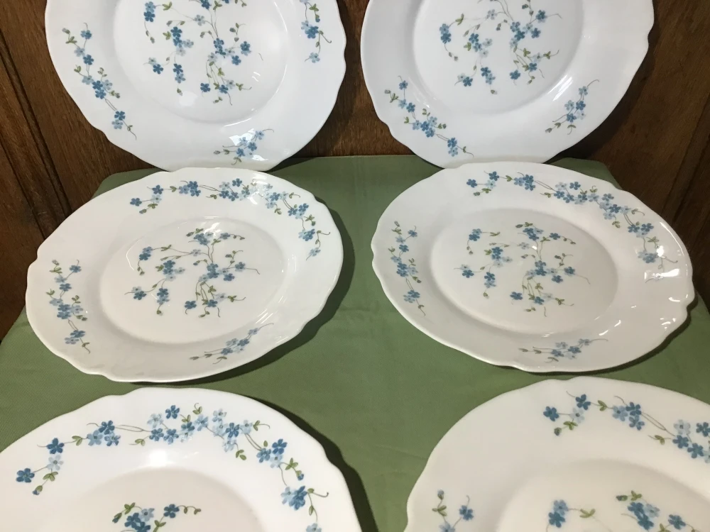 6 Assiettes Plate Arcopal Modèle Myosotis Véronica. Assiettes 4 6 Assiettes Plate Arcopal Modèle Myosotis Véronica. Assiettes – Image 4