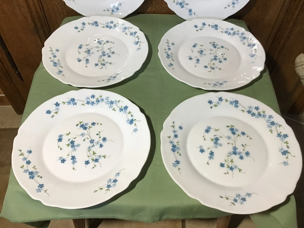 6 Assiettes Plate Arcopal Modèle Myosotis Véronica. Assiettes 5 6 Assiettes Plate Arcopal Modèle Myosotis Véronica. Assiettes – Image 5