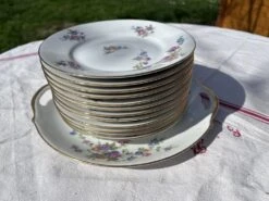 Ravissant Service à Gateau En Porcelaine Ancienne à Motifs Floral Assiettes 9 Ravissant Service à Gateau En Porcelaine Ancienne à Motifs Floral Assiettes -Cuisine Fournitures Soldes Boutique 1000x1000 img 3137 t0ldj 1519386828