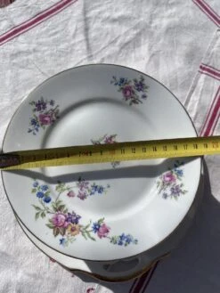 Ravissant Service à Gateau En Porcelaine Ancienne à Motifs Floral Assiettes 12 Ravissant Service à Gateau En Porcelaine Ancienne à Motifs Floral Assiettes -Cuisine Fournitures Soldes Boutique 1000x1000 img 3138 3kjqs 496057344