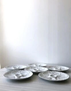 Set De 6 Assiettes à Huîtres En Porcelaine Pillivuyt Assiettes -Cuisine Fournitures Soldes Boutique 1000x1000 img 4969 3rrxh 1587230881