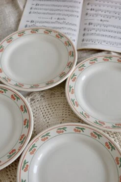 Service 12 Pièces Assiettes Porcelaine Vintage Brésilienne Liseré Vert Orange Et Motif Fruits Assiettes -Cuisine Fournitures Soldes Boutique 1000x1000 img 5172 mum23 1551215652