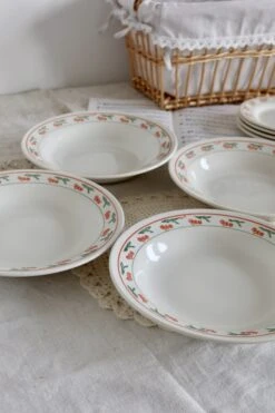 Service 12 Pièces Assiettes Porcelaine Vintage Brésilienne Liseré Vert Orange Et Motif Fruits Assiettes -Cuisine Fournitures Soldes Boutique 1000x1000 img 5173 gi99b 747548493