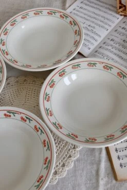 Service 12 Pièces Assiettes Porcelaine Vintage Brésilienne Liseré Vert Orange Et Motif Fruits Assiettes -Cuisine Fournitures Soldes Boutique 1000x1000 img 5174 s4zcf 2080697536