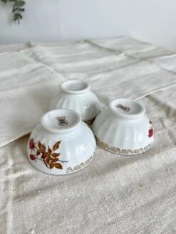 Trio De Petits Bols à Café Au Lait Vintage Porcelaine Blanche De Chauvigny Motif Fleuri Cottage Core Thé, Café Ou Petit Cacao -Cuisine Fournitures Soldes Boutique 1000x1000 img 5892 pv32p 1386969260