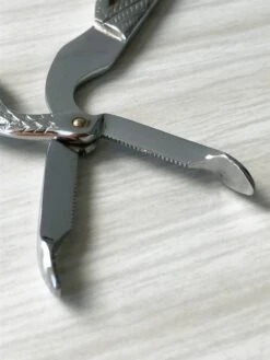 Pince à Sucre Cigogne Couverts -Cuisine Fournitures Soldes Boutique 1000x1000 img 7307 ct81i 113844902