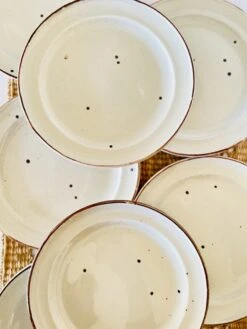 Lot De 10 Assiettes à Dessert Sarreguemines En Pyroblan Assiettes