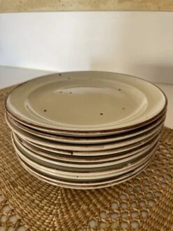 Lot De 10 Assiettes à Dessert Sarreguemines En Pyroblan Assiettes -Cuisine Fournitures Soldes Boutique 1000x1000 img 8443 yso18 1356614657