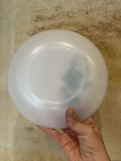 6 Petites Assiettes Arcopal « fruits De France » Assiettes -Cuisine Fournitures Soldes Boutique 1000x1000 img 9125 zuedg 1788281832