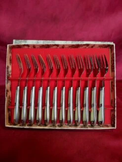 Ancien Service à Dessert De 12 Fourchettes En Inox Dans Son écrin Couverts