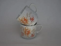 Lot De 2 Tasses En Faiences MONOPOLY 65 Décor Floral Automnal Orange Brun Thé, Café Ou Petit Cacao -Cuisine Fournitures Soldes Boutique 1000x1000 p1010089 9n2d3 683822184