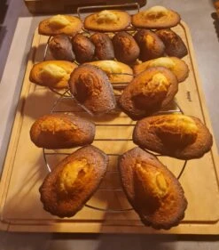 LE TUBE Kit Biscuit Sablé Pour Piston à Pression De BUYER 13 Disques Avec 2 Couvercles